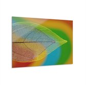 Indoorart - Glasschilderij doorzichtig blad 180x120 CM - Afbeelding op plexiglas - Inclusief montagemateriaal