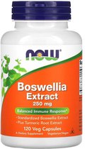 Boswellia Extract 250mg 120v-caps