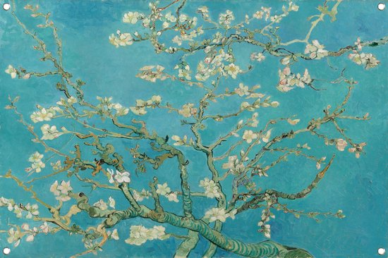 Amandelbloesem - Vincent van Gogh tuinposter - Bloesem poster - Tuinposter Natuur - Buiten poster - Tuin poster - Posters tuinposter 120x80 cm