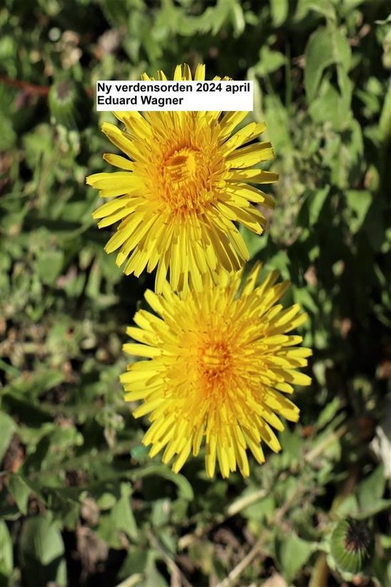 Ny verdensorden 2024 april - cover