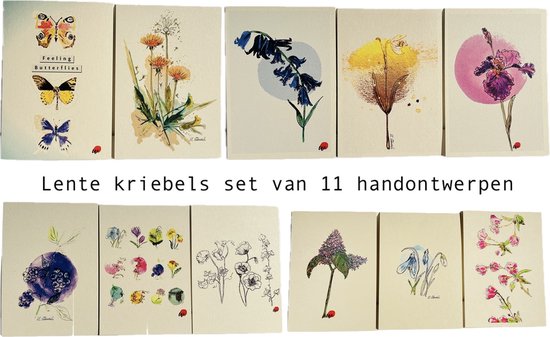 Wenskaart pauw felle kleuren - Wenskaarten | Kaartje2go
