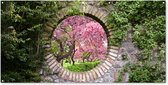 Tuinposter - Doorkijk - Sakura - Bloesem - Stenen - Bloemen - 200x100 cm - Schuttingposter - Tuinposter doorkijk - Tuindoek - Buitenposter