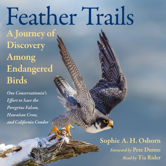 Feather Trails - cover