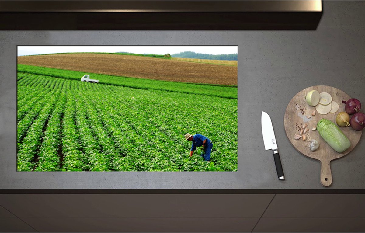 Inductieplaat Beschermer - Boer werkend op het Land vol Gewassen - 90x52 cm - 2 mm Dik - Inductie Beschermer - Bescherming Inductiekookplaat - Kookplaat Beschermer van Wit Vinyl