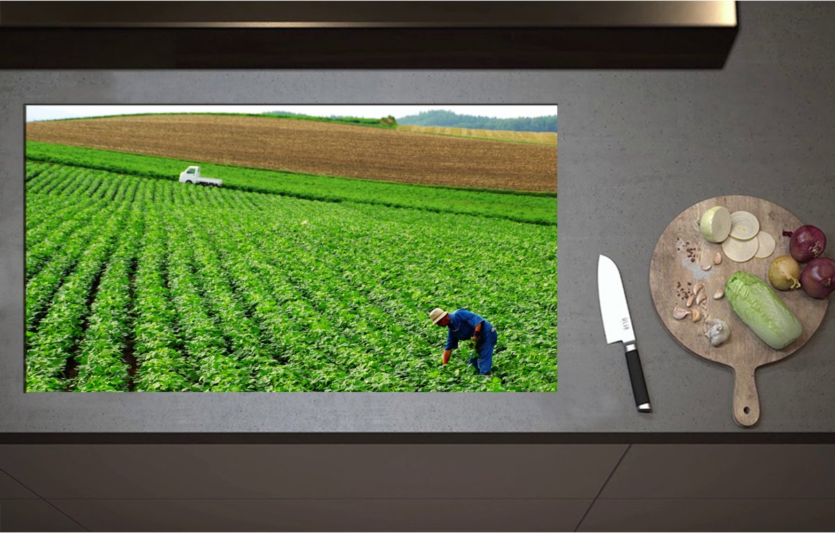 Inductieplaat Beschermer - Boer werkend op het Land vol Gewassen - 95x52 cm - 2 mm Dik - Inductie Beschermer - Bescherming Inductiekookplaat - Kookplaat Beschermer van Wit Vinyl