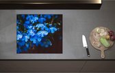 Inductieplaat Beschermer - Blauwe Tuinlobelie Bloemen voor Donkere Achtergrond - 60x52 cm - 2 mm Dik - Inductie Beschermer - Bescherming Inductiekookplaat - Kookplaat Beschermer van Zwart Vinyl