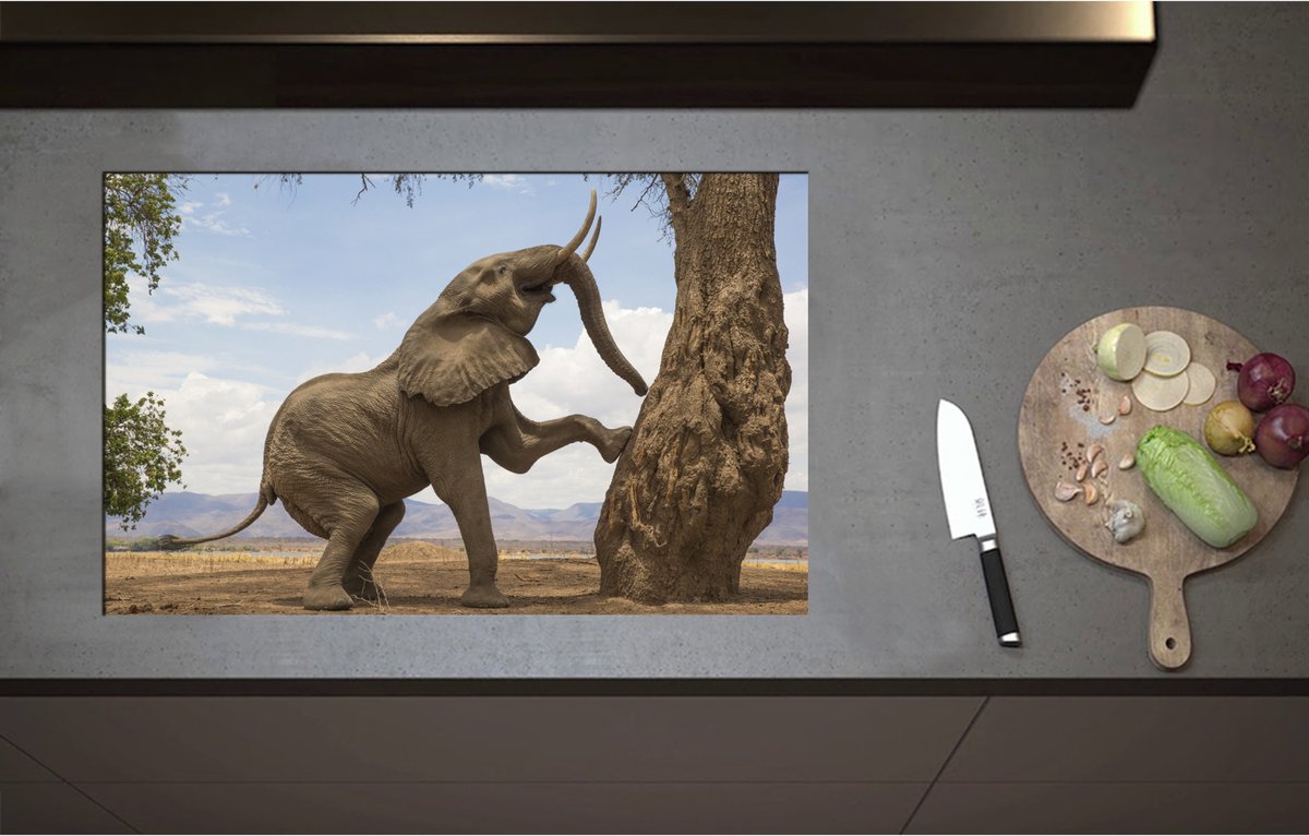 Inductieplaat Beschermer - Blije Afrikaanse Olifant - 80x51 cm - 2 mm Dik - Inductie Beschermer - Bescherming Inductiekookplaat - Kookplaat Beschermer van Wit Vinyl