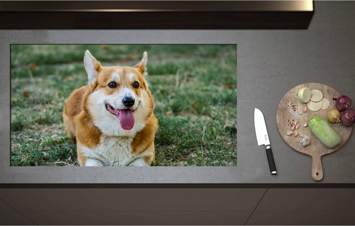 Inductieplaat Beschermer - Blije Corgi Hond met Uitstekende Tong in het Grasveld - 95x52 cm - 2 mm Dik - Inductie Beschermer - Bescherming Inductiekookplaat - Kookplaat Beschermer van Wit Vinyl
