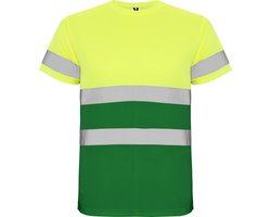 High Visibility T-Shirt Delta Geel/Groen Size 3XL merk Roly