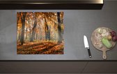 Inductieplaat Beschermer - Bos in de Herfst met Zonnestralen door de Bomen - 60x55 cm - 2 mm Dik - Inductie Beschermer - Bescherming Inductiekookplaat - Kookplaat Beschermer van Zwart Vinyl