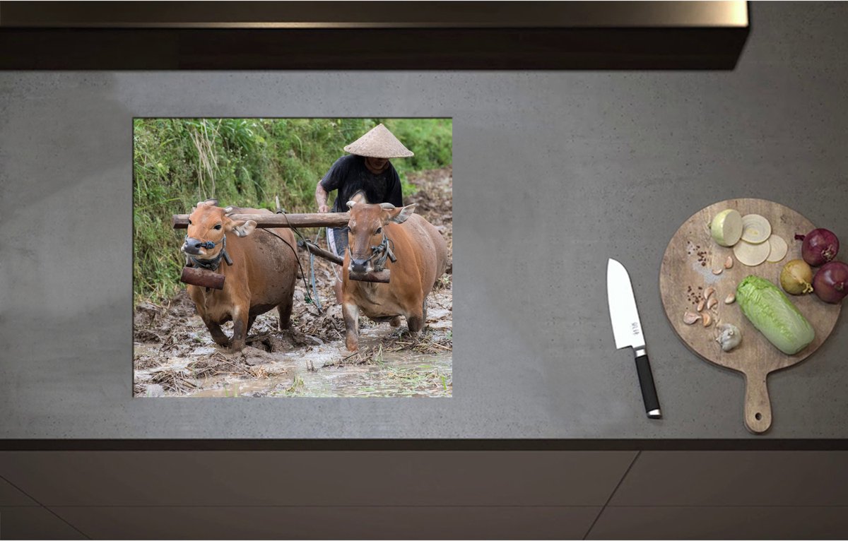 Inductieplaat Beschermer - Boer met twee Ossen aan het Werk op het Land - 57x50 cm - 2 mm Dik - Inductie Beschermer - Bescherming Inductiekookplaat - Kookplaat Beschermer van Wit Vinyl