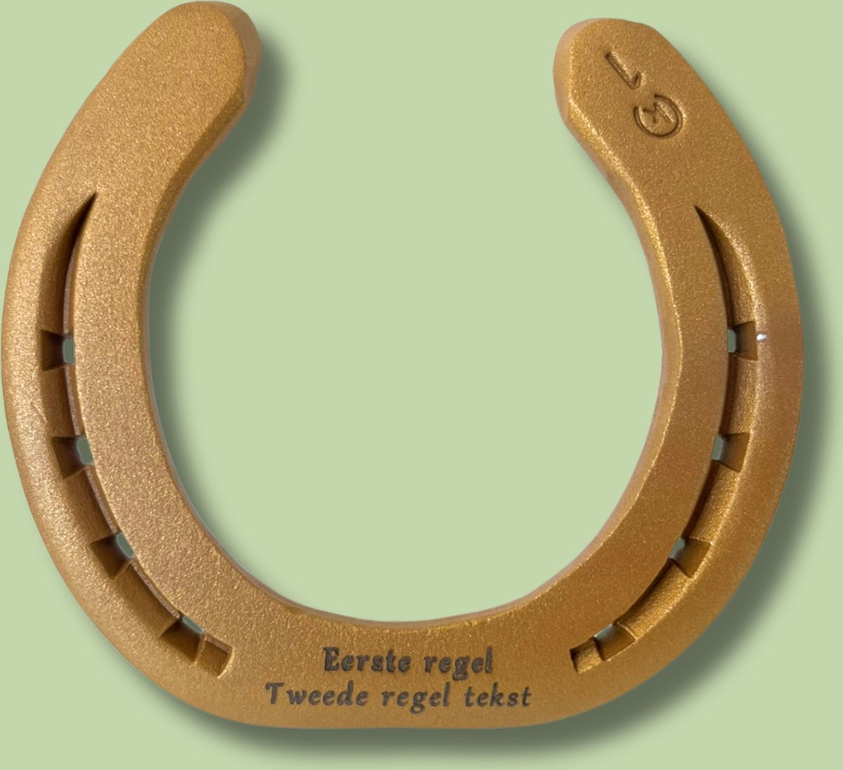 Hoefijzergeschenk.nl - Gouden hoefijzer met persoonlijke tekst gegraveerd - Geluksbrenger - Goud - 15 x 15 cm