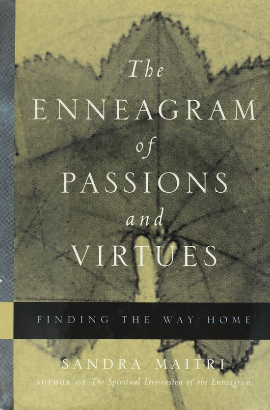 The Enneagram Of Passions And Virtues - cover