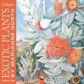 Kew Gardens: Exotic Plants by Marianne North Wall Calendar 2025 (Art Calendar)