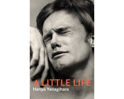 A Little Life