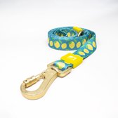 Luxe Halsband riem voor Honden-110Cm x2 Cm -Lemon