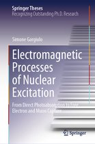 Springer Theses- Electromagnetic Processes of Nuclear Excitation
