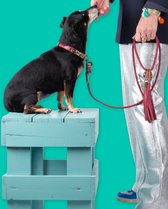 DWAM Dog with a Mission Hondenriem – Riem voor honden – Bordeaux – Polyester/Leer – L – 155 x 1.4 cm – Bonnie