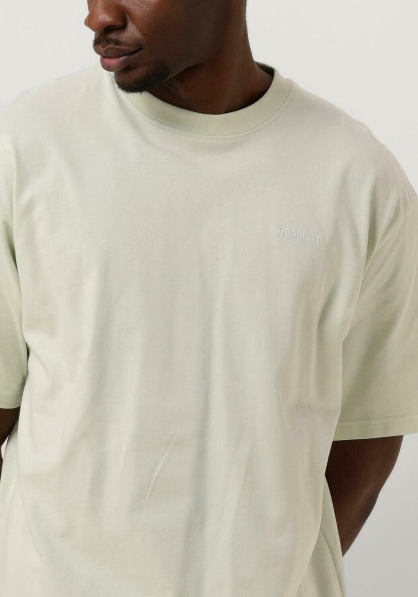 Woodbird Wbbaine Base Tee Polo's & T-shirts Heren - Polo shirt - Mint - Maat XL