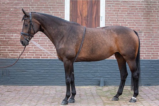 Foto: Harry s horse longeerhulp soft zwart wit l