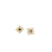 Paragon Cat.Floral temperament elegant 925 sterling silver earrings