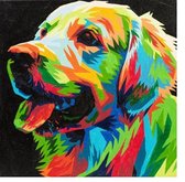 Paint by Numbers Colourful Pup