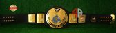WWF Big Eagle Belt World Wrestling Championship Belt - Replica - One Size - 4MM