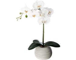 Atmosphera Kunstorchidee in keramische pot 50 cm