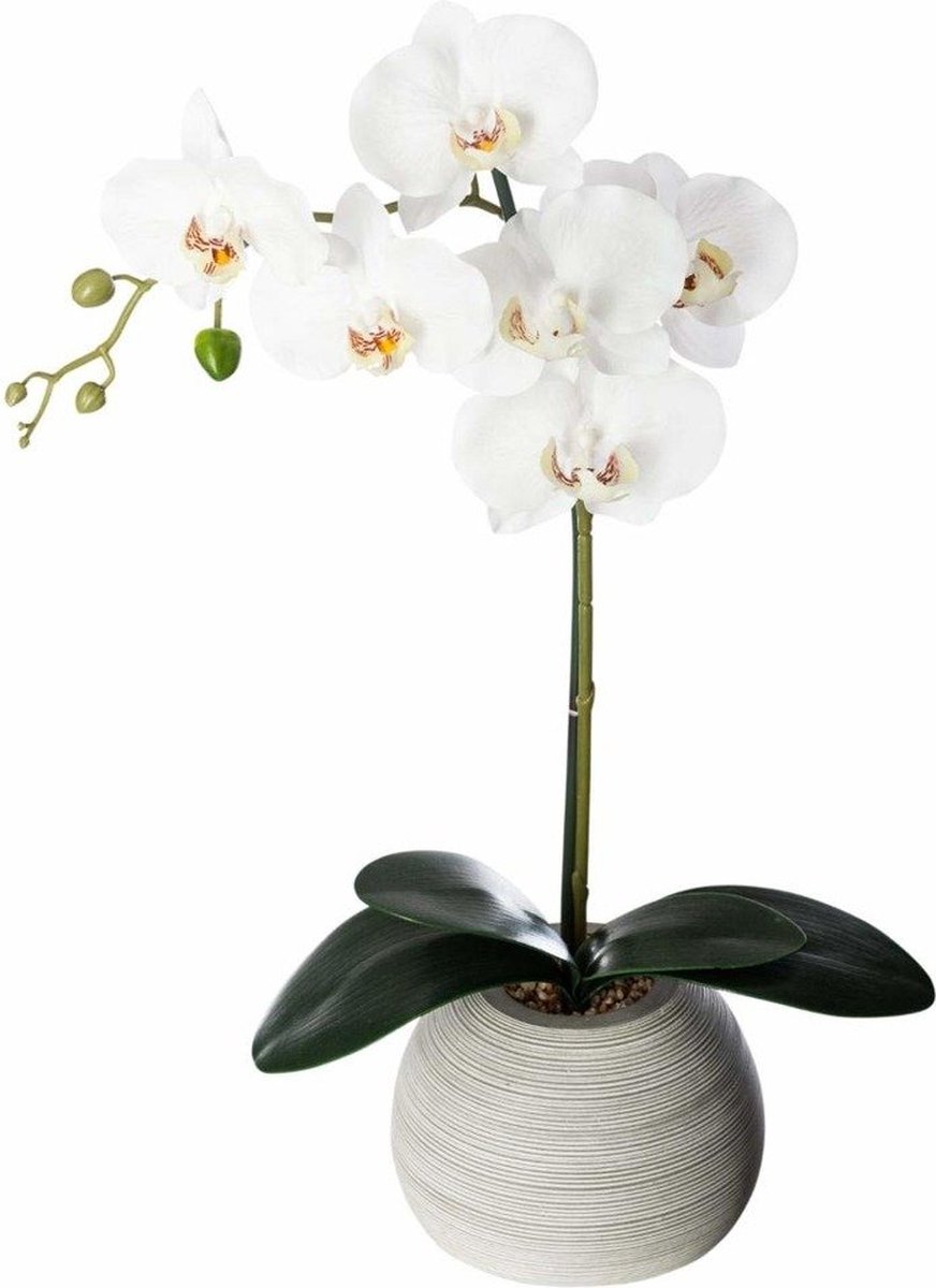 Atmosphera Créateur d'intérieur® Atmosphera Kunstorchidee in keramische pot 50 cm wit