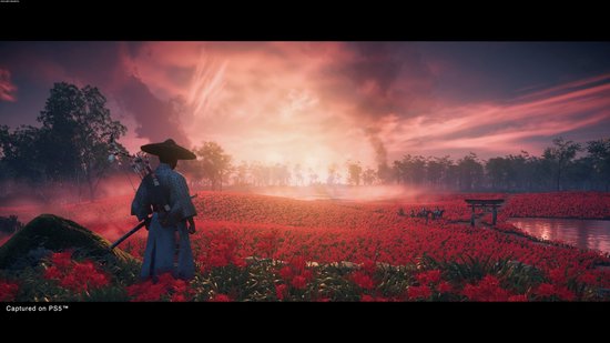 Ghost of Tsushima: Director’s Cut - PS5