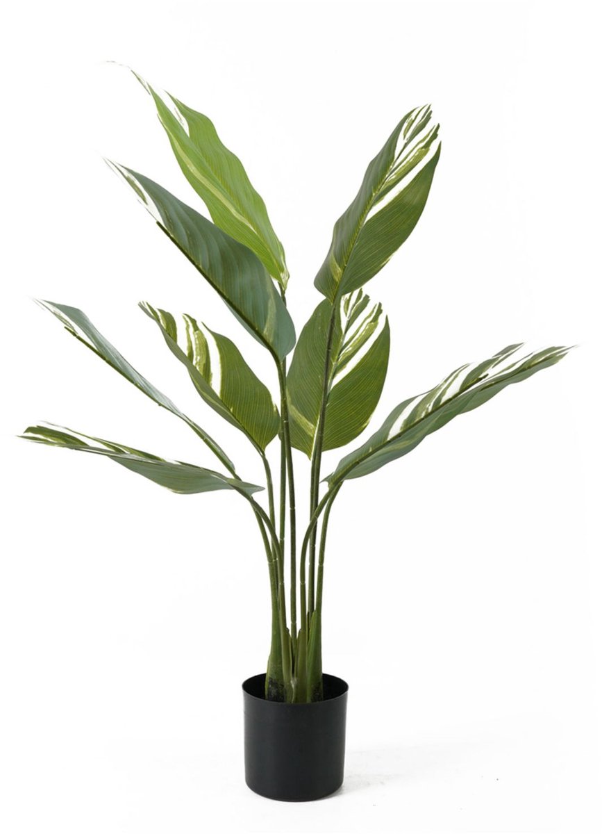 Present Time Kunstplant Calathea - Groen - 63x63x90cm - Modern