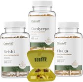 Supplementen - Chaga + Reishi + Cordyceps + BeBulk Nutrition Pillendoos -