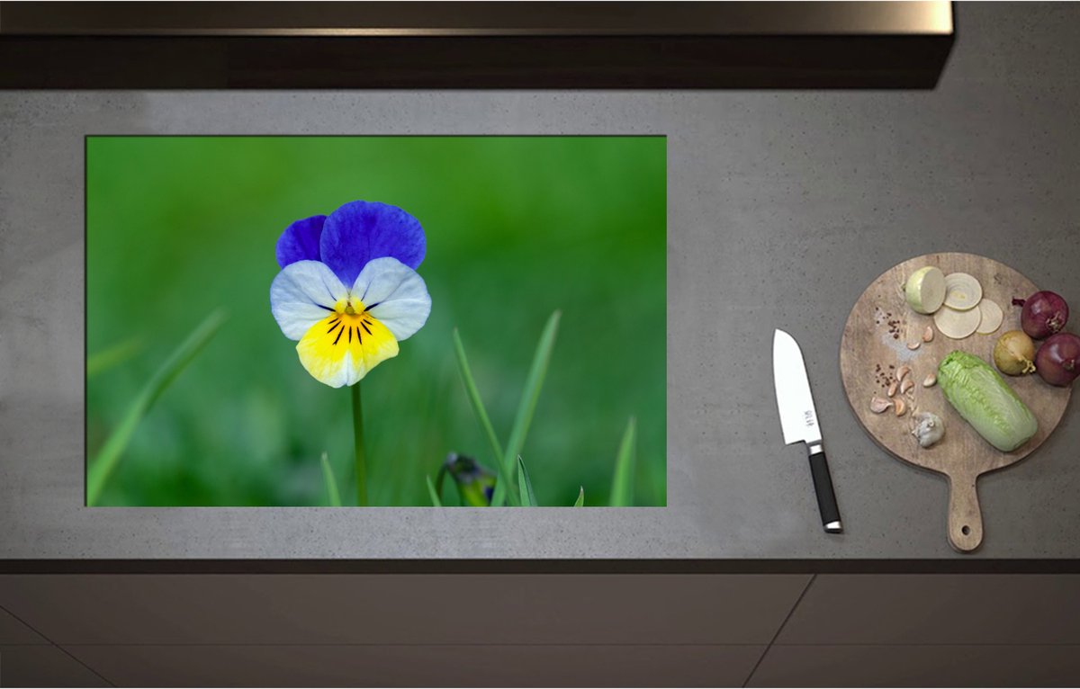 Inductieplaat Beschermer - Blauw met Gele Tuinviool in Grasveld - Bloemen - 80x52 cm - 2 mm Dik - Inductie Beschermer - Bescherming Inductiekookplaat - Kookplaat Beschermer van Wit Vinyl