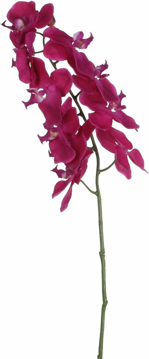 Mica Decorations Kunstbloem Orchidee tak - diep roze - 71 cm - Kunst zijdebloemen Donkerroze