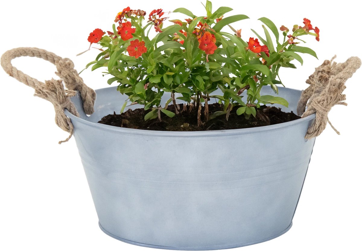 Goedkoopste Mega Collections Teil/plantenpot/bloempot Old Rope - zink - zilver - D30 X H14 cm