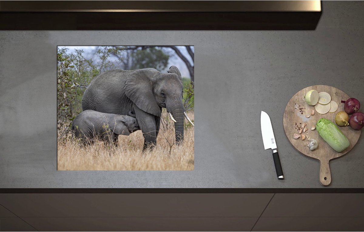 Inductieplaat Beschermer - Babyolifant drinkend bij Moederolifant tussen Hoge Droge Grassen - 57x52 cm - 2 mm Dik - Inductie Beschermer - Bescherming Inductiekookplaat - Kookplaat Beschermer van Wit Vinyl