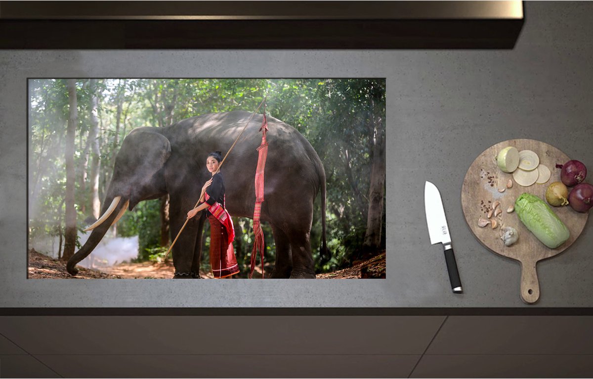 Inductieplaat Beschermer - Aziatische Vrouw bij Olifant in het Bos - 90x51 cm - 2 mm Dik - Inductie Beschermer - Bescherming Inductiekookplaat - Kookplaat Beschermer van Zwart Vinyl