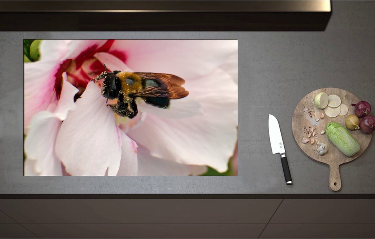 Inductieplaat Beschermer - Bij in het Midden van Witte Bloem op Zoek naar Nectar - 85x55 cm - 2 mm Dik - Inductie Beschermer - Bescherming Inductiekookplaat - Kookplaat Beschermer van Zwart Vinyl