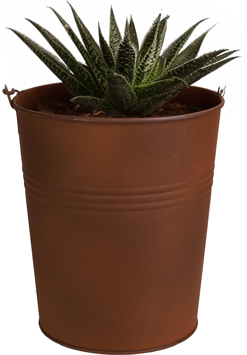 Goedkoopste Sunnydays Emmer/plantenpot/bloempot - zink - roestbruin - D13 x H14 cm