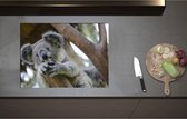 Inductieplaat Beschermer - Australische Koala in een Boom - 71x52 cm - 2 mm Dik - Inductie Beschermer - Bescherming Inductiekookplaat - Kookplaat Beschermer van Zwart Vinyl