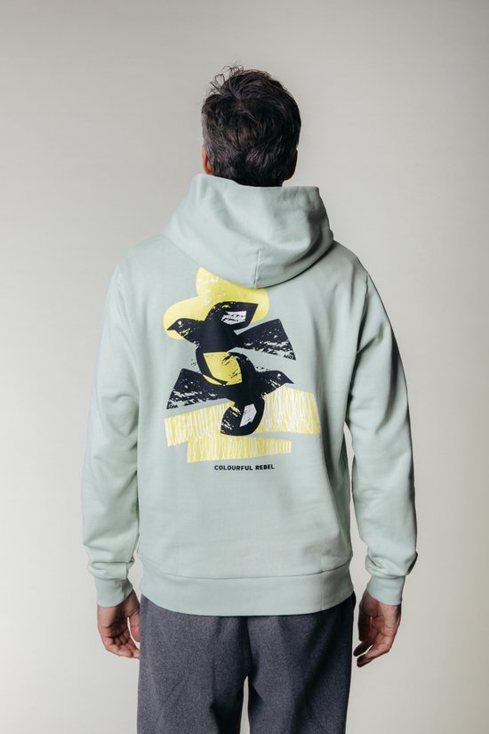 Colourful Rebel Birds Sky Relaxed Clean Hoodie