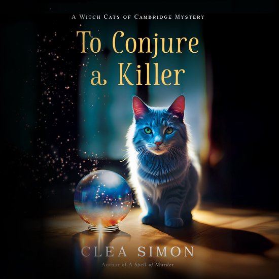 To Conjure a Killer - cover
