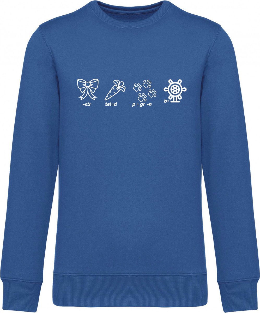 ik word grote broer - blauw - 134/146