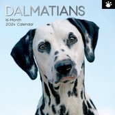 Calendrier Dalmatien 2024