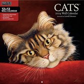 Cats Kalender 2024