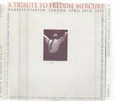 A Tribute To Freddie Mercury Wembley Stadium 1992