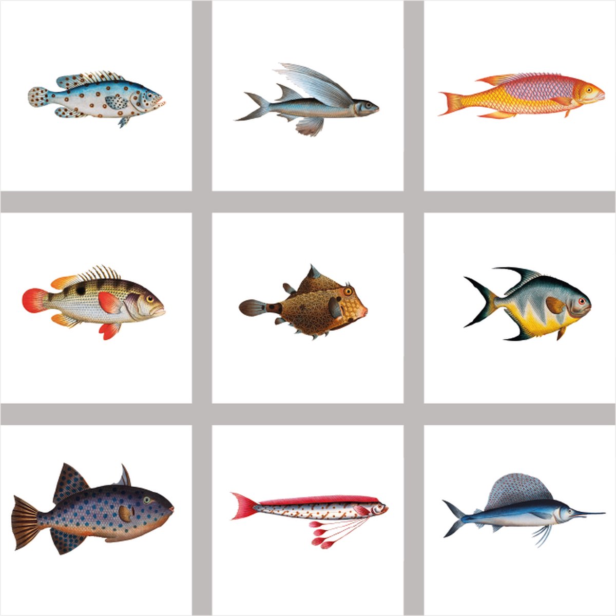 9 stuks 15x15cm tegelstickers vissen transparant - badkamer, keuken en toilet - zelfklevend - peel and stick - decoratiestickers - plakfolie stickers - backsplash