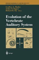 Evolution Of The Vertebrate Auditor