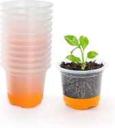 Kweekpotten, 12 stuks, 10 cm, transparante plantenpotten met siliconen sokkel, herbruikbare bloempotten van kunststof, voor planten, bloemen, groenten, oranje