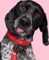 DWAM Dog with a Mission Halsband hond – Hondenhalsband – Rood – S – Leer – Halsomvang tussen 27-33 x 2 cm– Pink Star